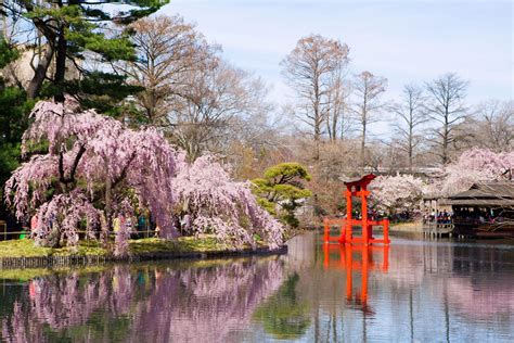 Brooklyn Botanic Garden | Brooklyn, NY 11225 | New York Path Through History