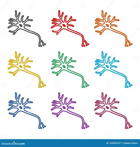 Neuron Color Icon Set Isolated on White Background Stock Vector - Illustration of chemistry ...