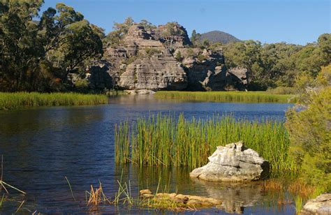 Wollemi National Park | NSW National Parks