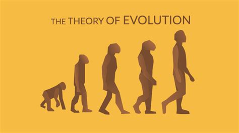 Theory of Evolution: Charles Darwin and Natural Selection - Earth How