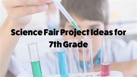 Science Fair Project Ideas for 7th Grade — Inspirit AI