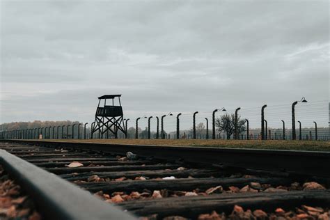 UBC marks 75th anniversary of liberation of Auschwitz