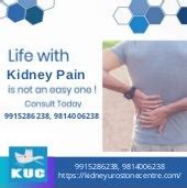 Kidney Pain Treatment | Kidney Pain Symptoms