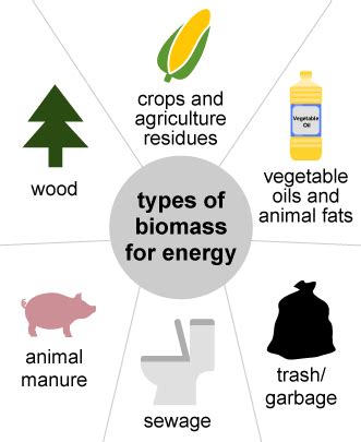 What are Bioenergy and Waste-to-Energy? | Green City Times