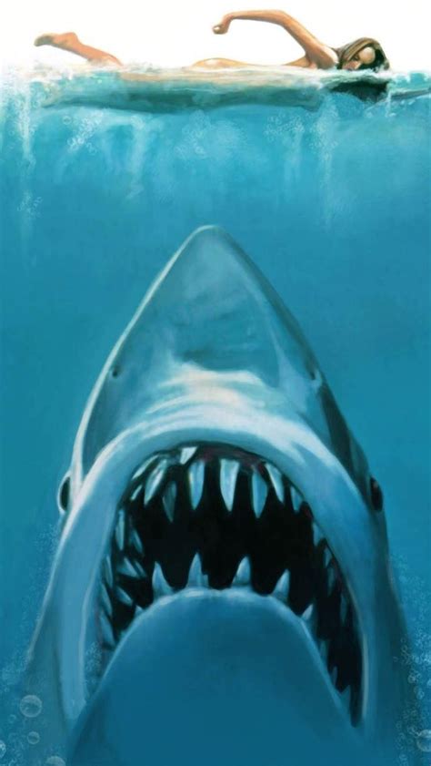 Shark Attack Wallpaper - WallpaperSafari