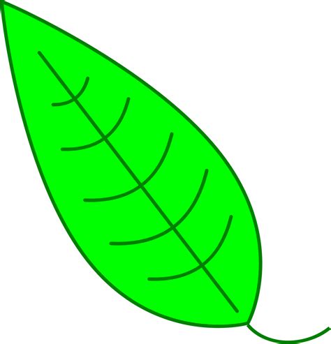 Leaves clipart simple, Leaves simple Transparent FREE for download on WebStockReview 2023