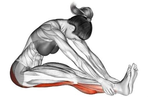 Hamstring Stretches for a Healthy and Strong Lower Back | A Lean Life