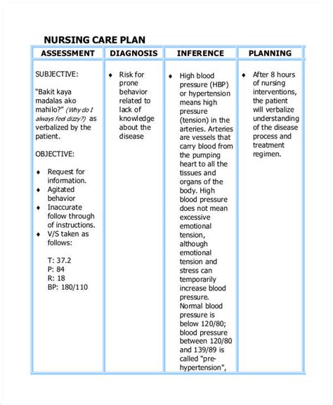 Care Plan Template -16+ Word, PDF Format Download