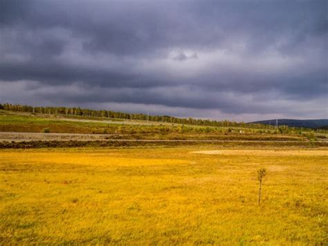 Grassland Biome and Types of Grassland Biomes - Conserve Energy Future