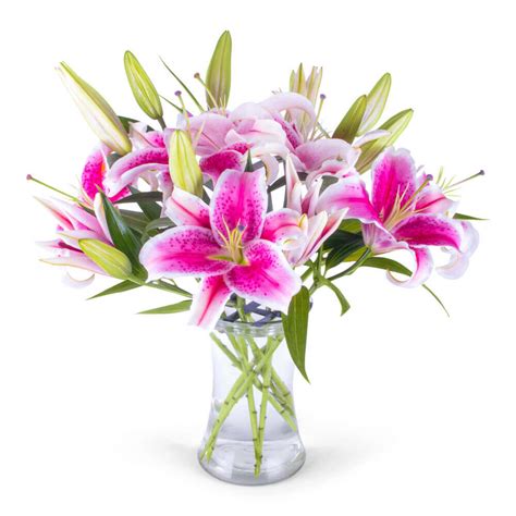 Stargazer Lily Bouquet Flower Delivery Warner Robins GA - The Flower Truck