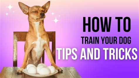 How to Train Your Puppy: Tips and Tricks - YouTube