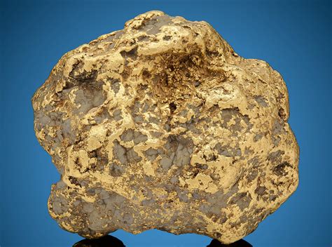 Largest Gold Nugget Ever Found in Alaska – BC Gold Adventures