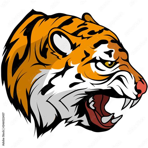 tiger head vector drawing, tiger face drawing sketch, tiger head colored drawing, vector ...