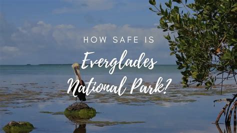 Is Everglades National Park Safe? (2023) - Hikers Daily