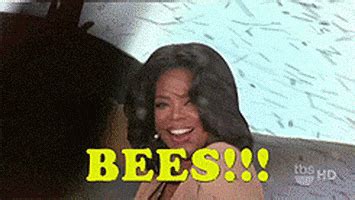 Oprah Bees GIF - Find & Share on GIPHY