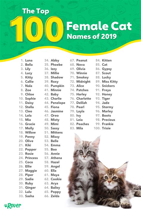 The Most Popular Cat Names in the USA | Nombres para gato macho, Nombres para gatas, Lenguaje de ...