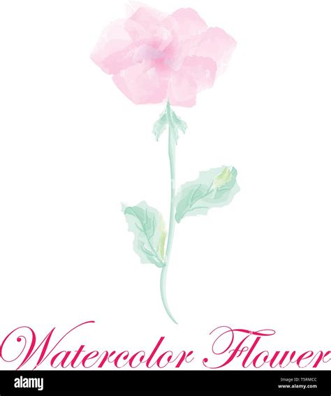 Vector Watercolor Flower Stock Vector Image & Art - Alamy