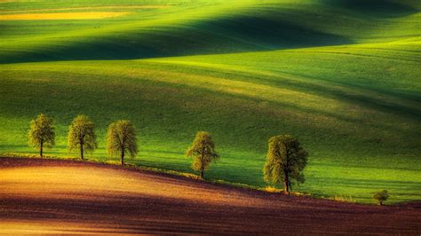 Sfondi : luce del sole, alberi, paesaggio, collina, natura, campo, verde, colline, mattina ...