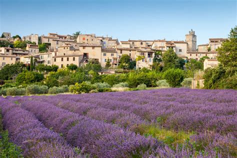 Best Lavender Fields in Provence, France [2021] - France Bucket List