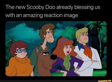 Scooby Doo Meme | fwtai