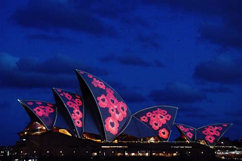 Commemorating End of World War I, With Poppies and a Pause - The New York Times