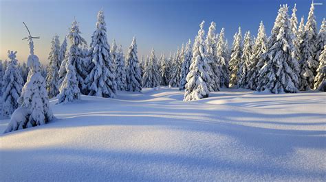 4K Winter Wallpapers High Quality Free Download