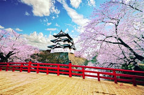 10 Best Cherry Blossom Spots in Japan - Where to View Japan's Cherry Blossoms – Go Guides