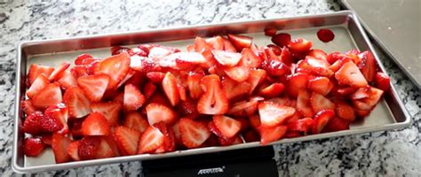 Freeze Dried Strawberries – Freeze Drying Cookbook