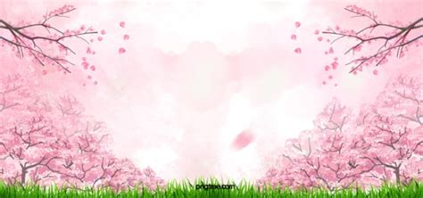 Pink Cherry Blossom Gradient Light Effect Background, Pink, Gradient Cherry Blossom, Pink ...