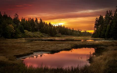 sunset, Lake, Forest, Landscape, Reflection Wallpapers HD / Desktop and Mobile Backgrounds