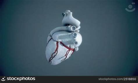 Human heart, realistic anatomy 3D illustration. Human heart, realistic anatomy — Stockphotos.com