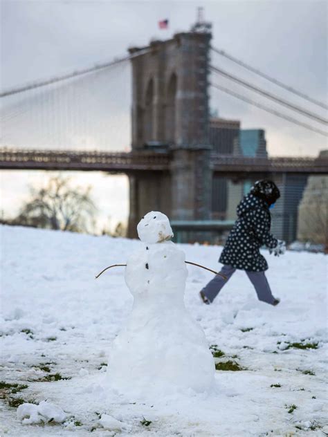 Winter Guide - Brooklyn Bridge Park