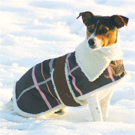 Fleece Lined Winter Dog Coats - Tradingbasis