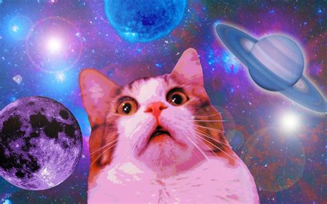 space-cat-wallpapers-for-iphone-For-Desktop-Wallpaper - Colour Youth