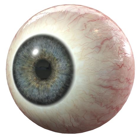 Eyes Free HQ Image | Transparent background, Art folder, Eyes