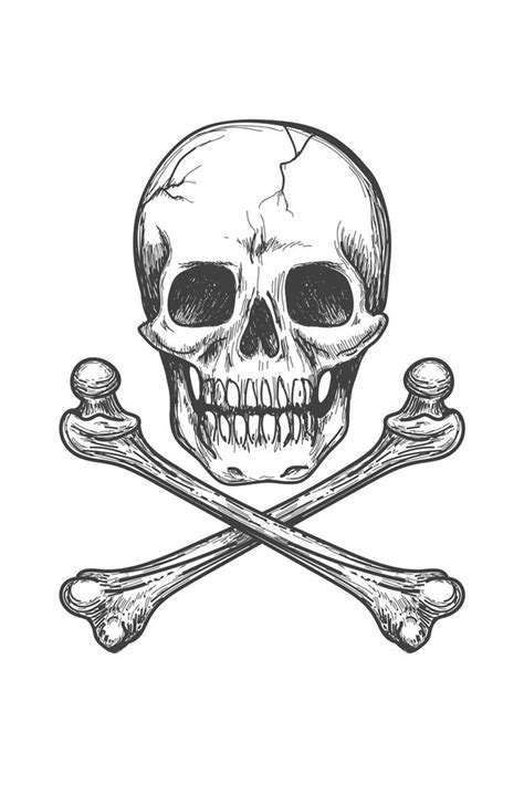 Skull Bones Crossbones Detailed Artistic Drawing Poster Black White Sketch Pirate Flag Motif ...