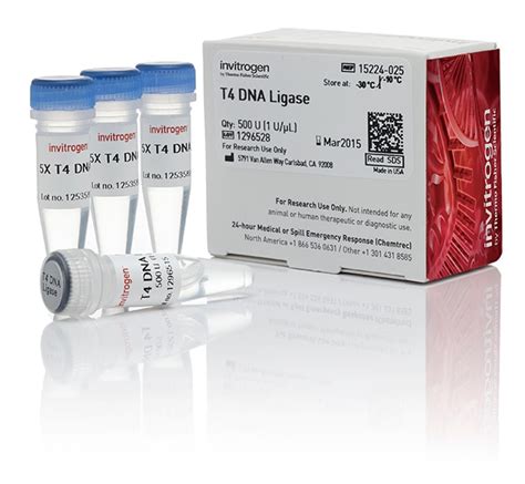 Invitrogen T4 DNA Ligase (1 U/ L) 100 units:Enzymes and Inhibitors, Quantity: | Fisher Scientific