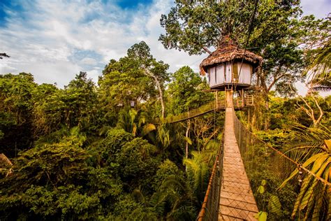 Treehouse Lodge Iquitos - Tree Top Canopy Bungalows With Peruvian Amazon Panorama