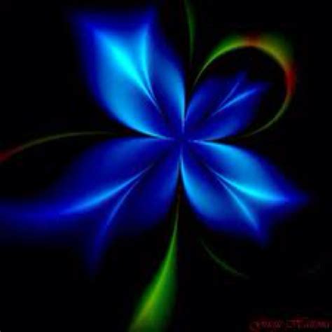 Fractal flower | Fractals, Fractals in nature, Fractal art