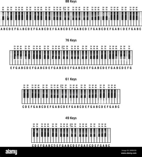 Piano keyboards in standard 88 key, 76 key, 61 key and 49 key layouts, with labels, isolated ...