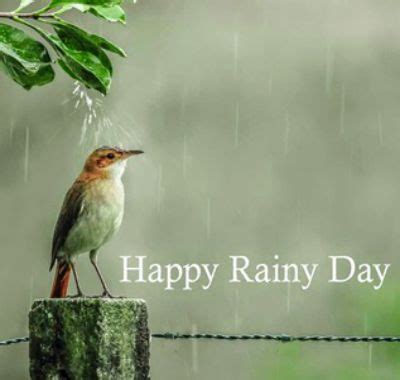 Total 93+ imagem happy rainy day images - br.thptnganamst.edu.vn