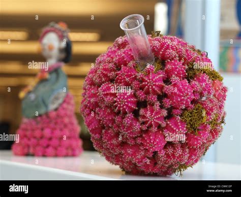 Unusual Cacti Decoration Stock Photo - Alamy