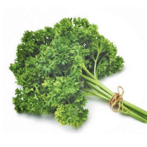 Herb - Parsley Curly Leaf