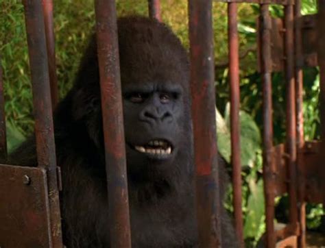 George Of The Jungle Ape