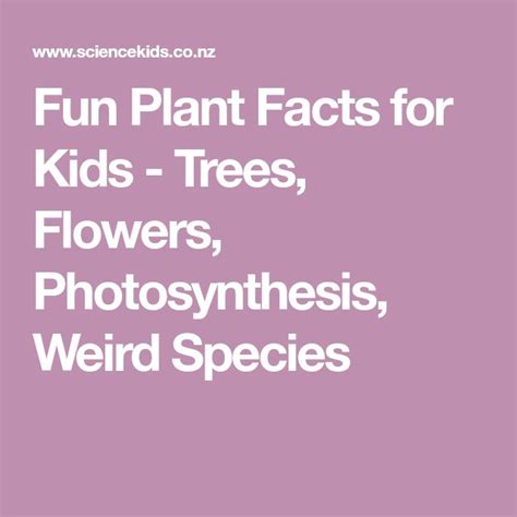 Fun Plant Facts for Kids - Trees, Flowers, Photosynthesis, Weird Species | Photosynthesis, Facts ...