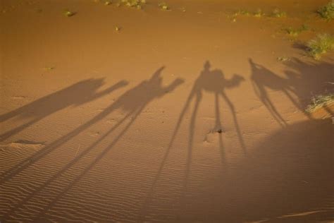 16 Amazing Photos of the Sahara Desert