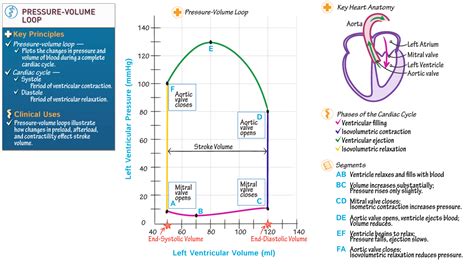 Pressure Volume Diagram