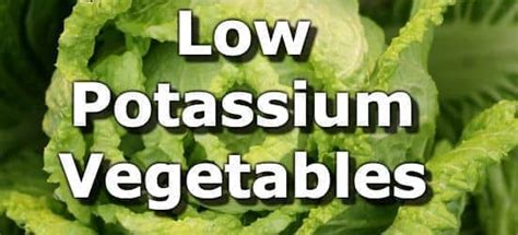 Low Potassium Vegetables