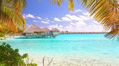 1080x2340px | free download | HD wallpaper: Tropical Beach Bora Bora Polynesia Desktop Wallpaper ...