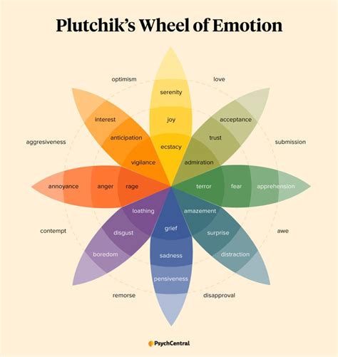 Emotion Wheel: What It Is and How to Use It